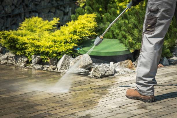 Best Dumpster Area Cleaning  in La Palma, CA