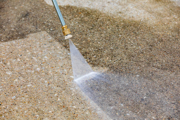 Best Animal Enclosure Cleaning  in La Palma, CA