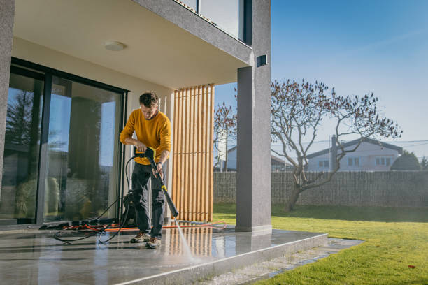 Best Gutter Cleaning  in La Palma, CA